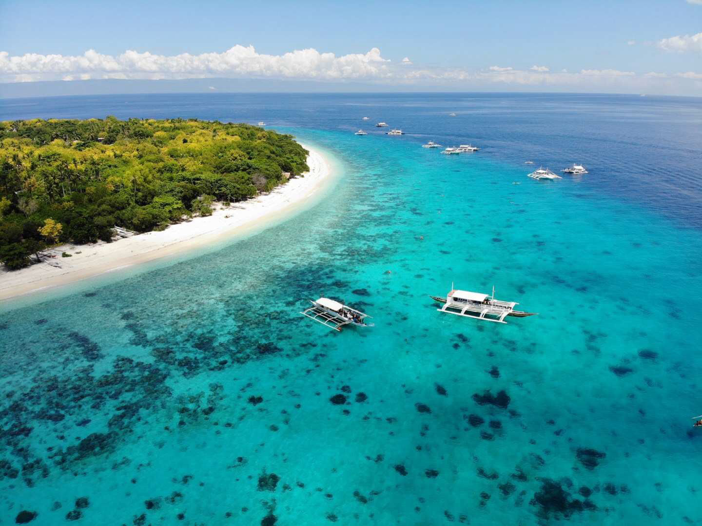 菲律宾薄荷岛海如其名一片无法拔身的翠绿