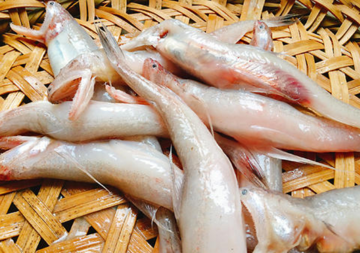 酥炸九肚鱼!这么才好吃!大厨做法曝光!