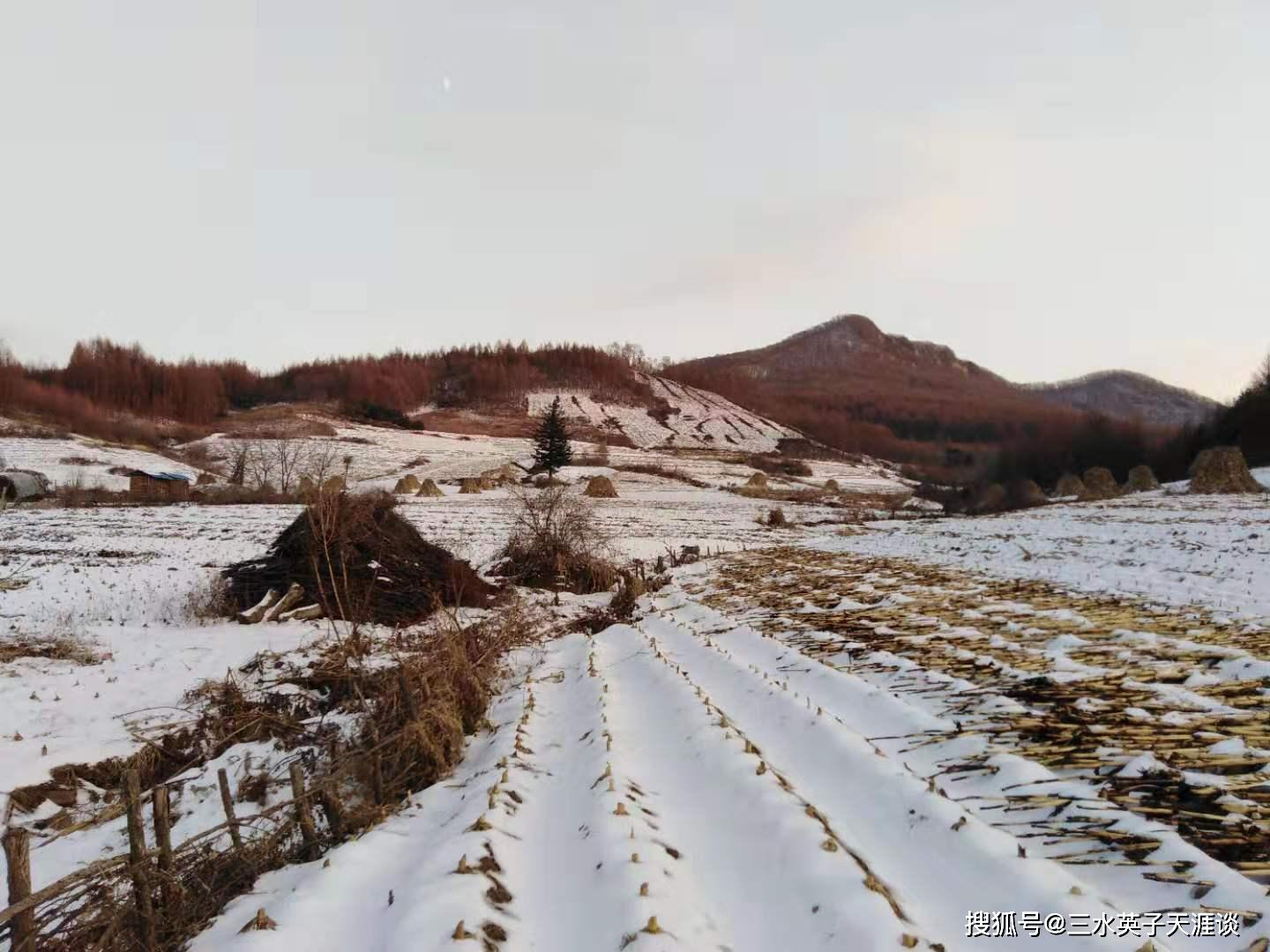 原创辽宁本溪农村2019年的冬天土地的白雪和冷冻的河流依然有冬天的