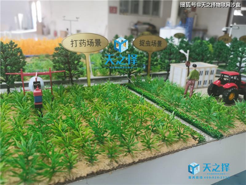 农业沙盘模型水稻种植