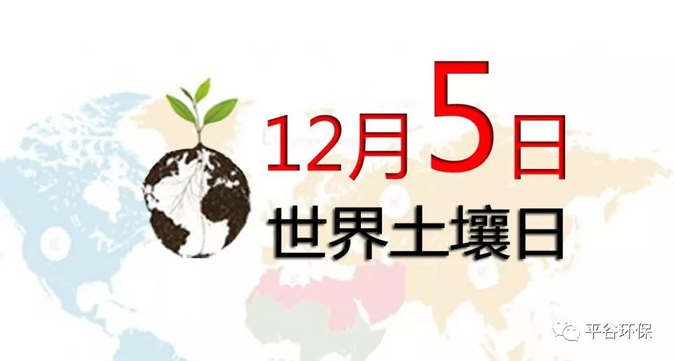 世界土壤日净土保卫战我们在行动