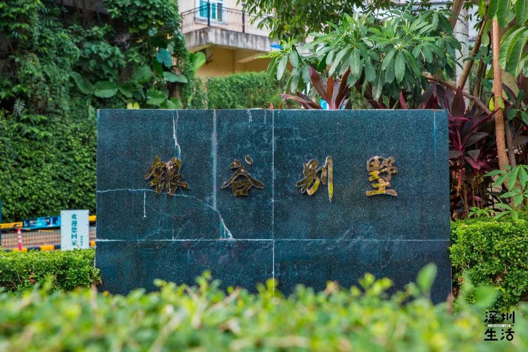 作为深圳最早的豪宅片区,这里别墅林立,齐明别墅,银谷别墅,颐园等等.