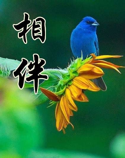 相遇相知相契相依相助相思相辉相惜