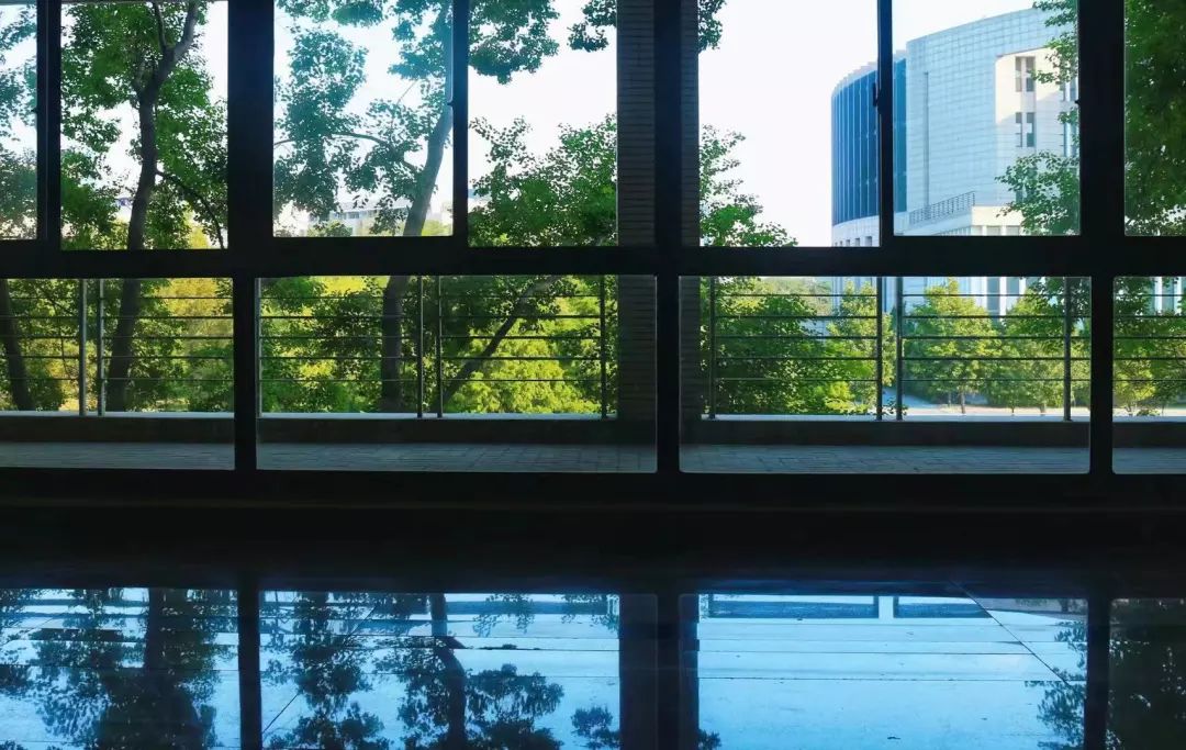 窗户还是窗映出不一样的世界远眺5向远处望去多样景观融进一张画卷金