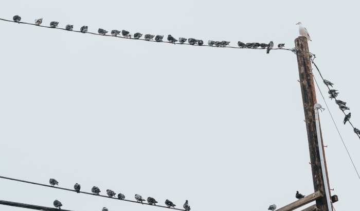 又是年关收账时，家电经销商今年要多点心理准备！-家电圈官网