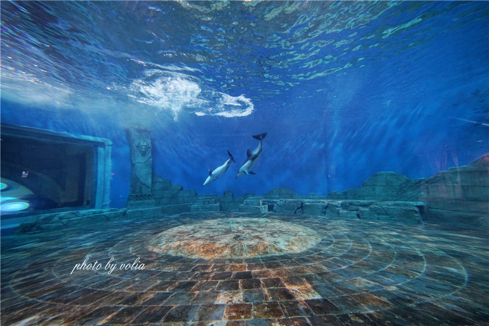 寻根巴地|带你玩转不一样的重庆巴南_汉海