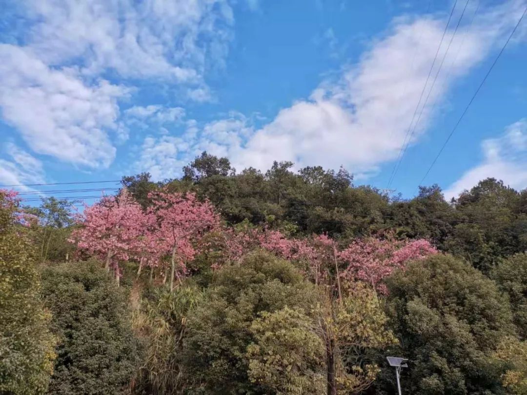 德庆县香山图片