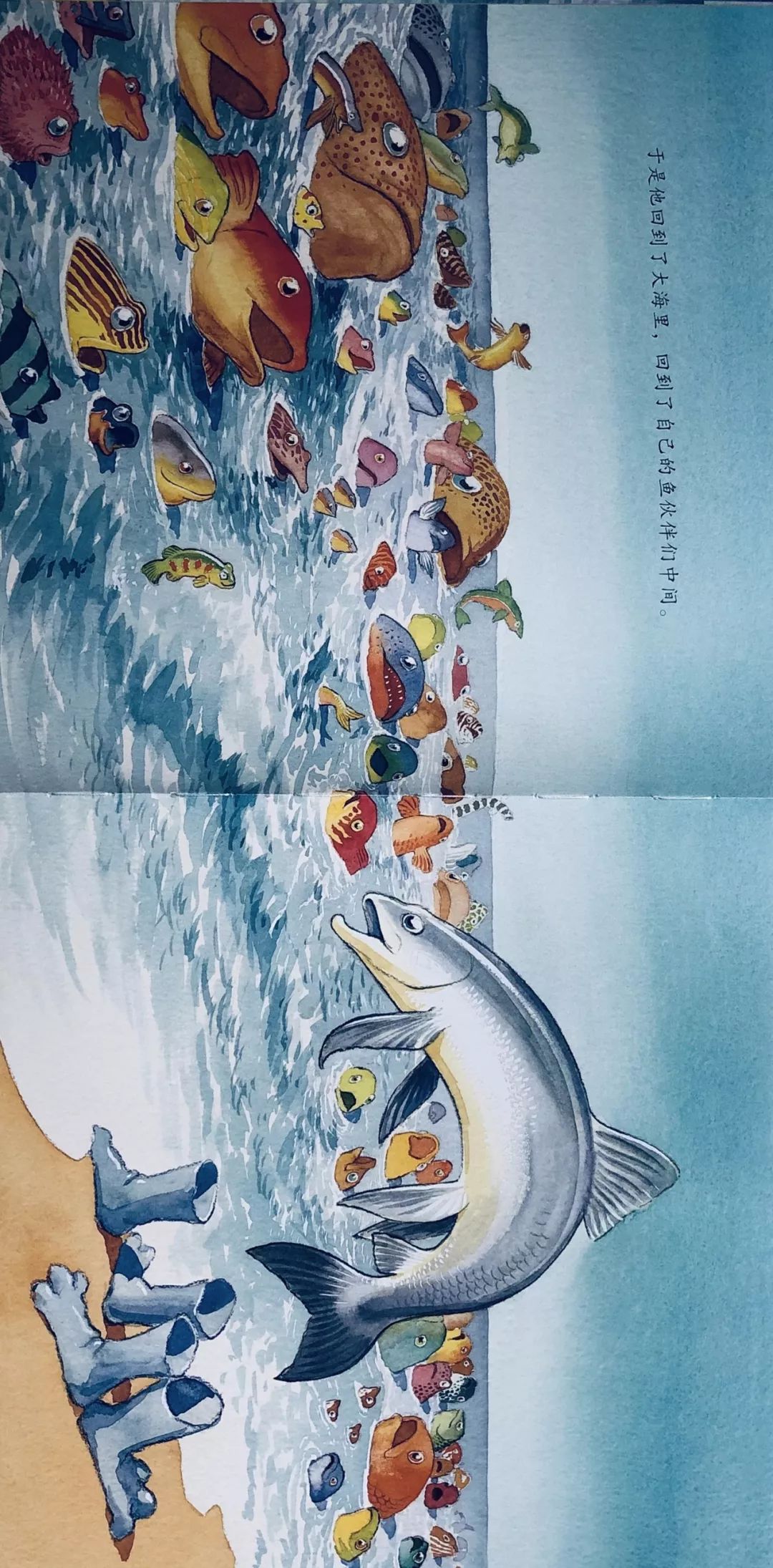 三之三尚德园storytime生命教育绘本精选系列一条聪明的鱼