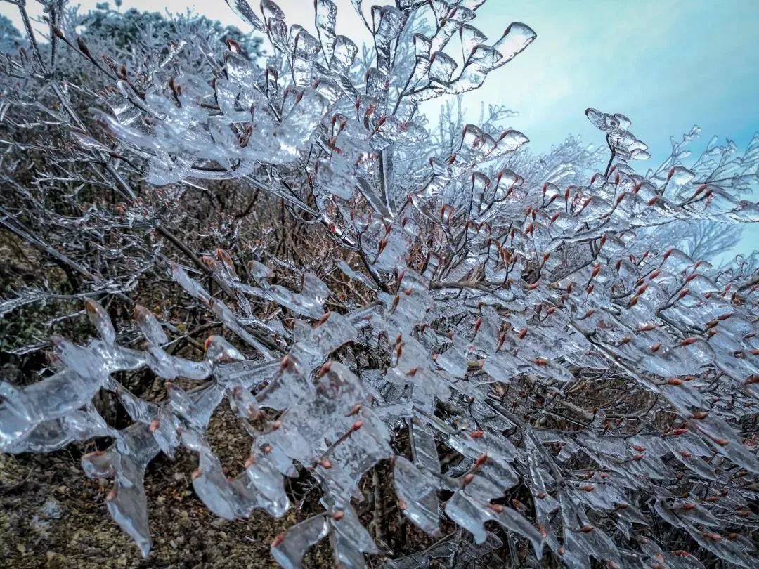 今天泰顺下雪了附视频