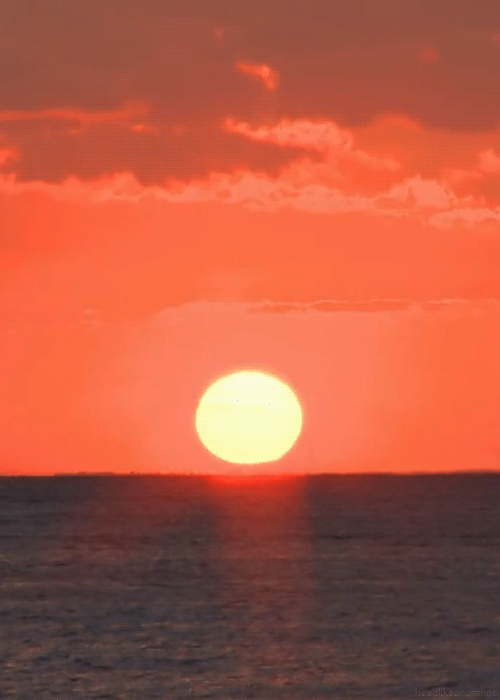 500_700竖版 竖屏gif 动态图 动图