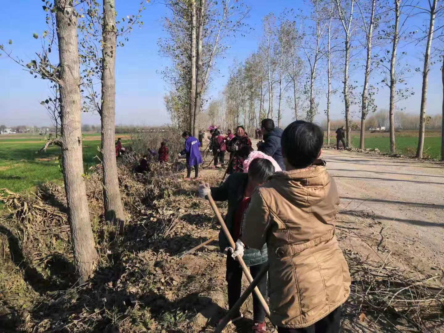卧龙区陆营镇:深入开展农村环境整治 助力脱贫攻坚_工作