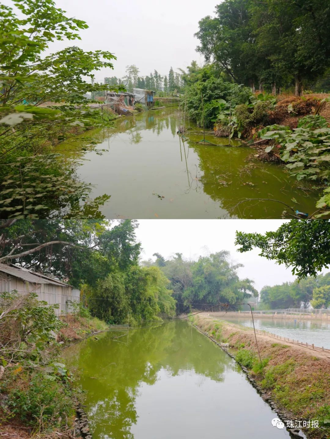 生态环境蝶变,南海人收获"稳稳幸福感"|十年百万图拍摄对比行动