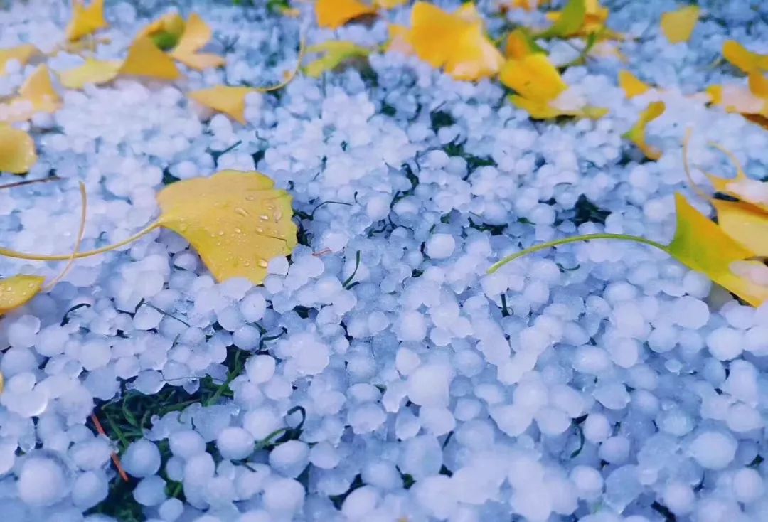 快看,祥云下雪了,大理下冰雹