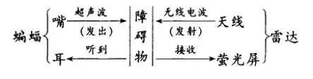 书法教案竖画模板