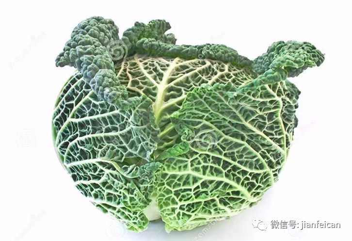 尽管有些营养学家说吃西兰花和球芽甘蓝对健康更好,但无头甘蓝含有