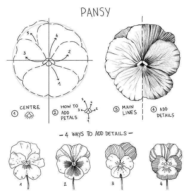 仅用一支樱花针管笔