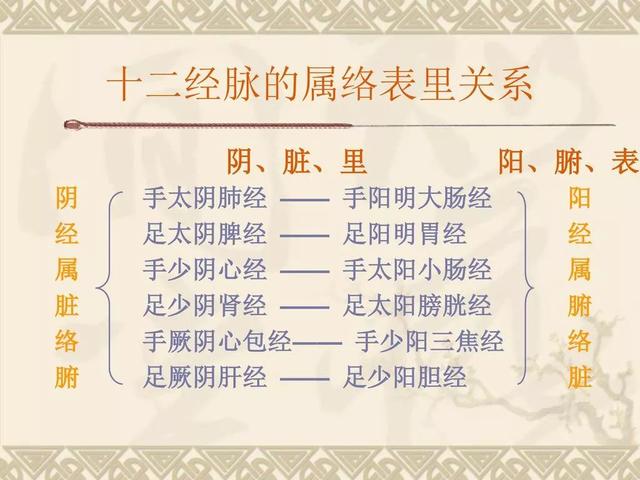 它是十二经脉分离出来的别道循行部分,按阴阳表里关系分为六组,起于肘