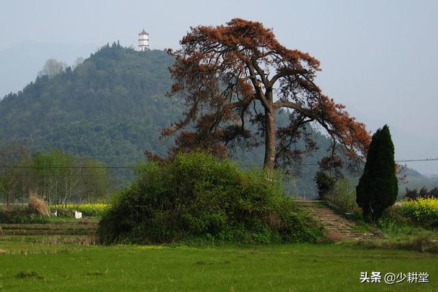 千年古镇魅力茂林