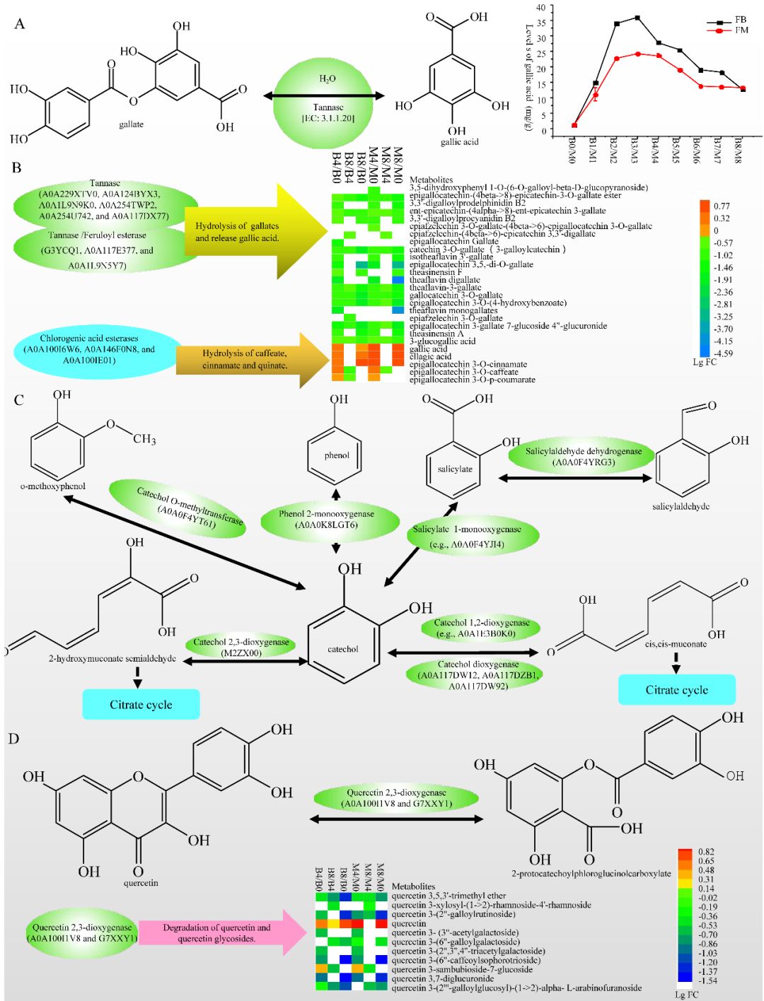 重磅:云南农业大学揭示了传统普洱茶发酵的微生物组!