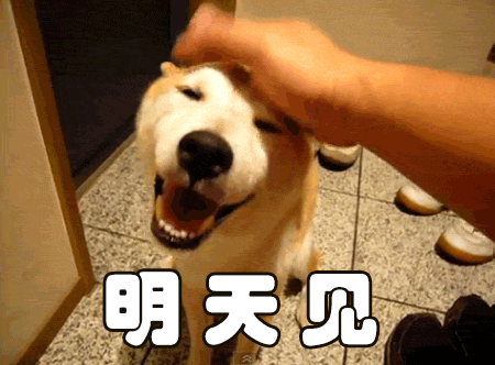 行驶证副页签注已满该怎么办?_检验