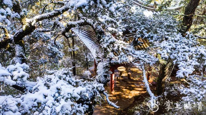 虽然真的很冷不过会泽的雪景真的好看