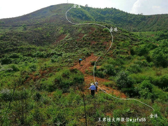 長沙風水大師湖南四金串珠龍墳墓風水寶地王君植風水培訓金星點穴立向