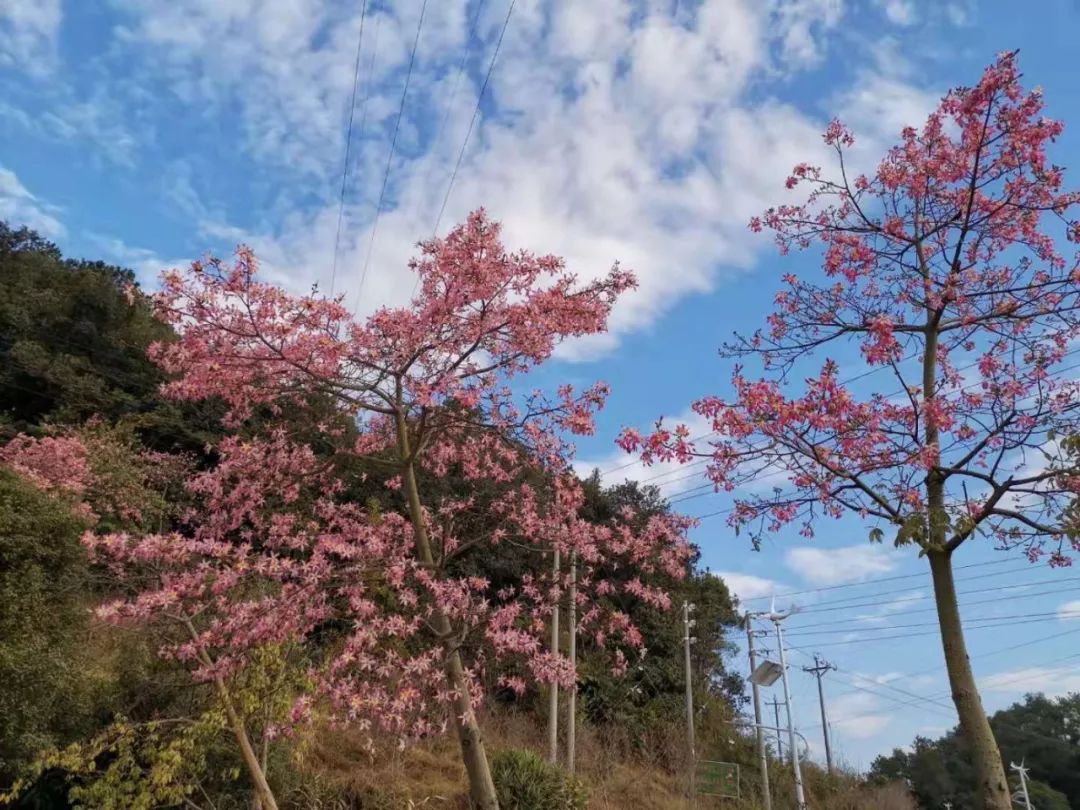 德庆县香山图片