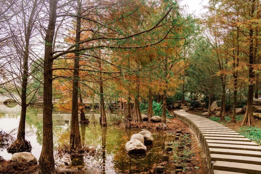 原创探秘路桥丨绝密清流,源远流长