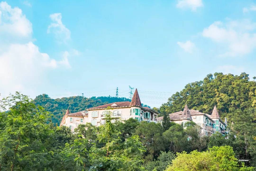 作为深圳最早的豪宅片区,这里别墅林立,齐明别墅,银谷别墅,颐园等等.