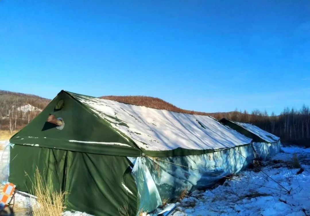住工棚,睡通铺,大炖菜:森林抚育,大兴安岭最可爱的人