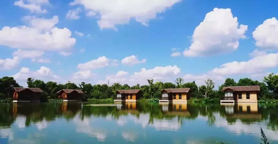 嘉定华亭太仓浏河又将新增一条公交线路,全程2元,12月10日起运营!