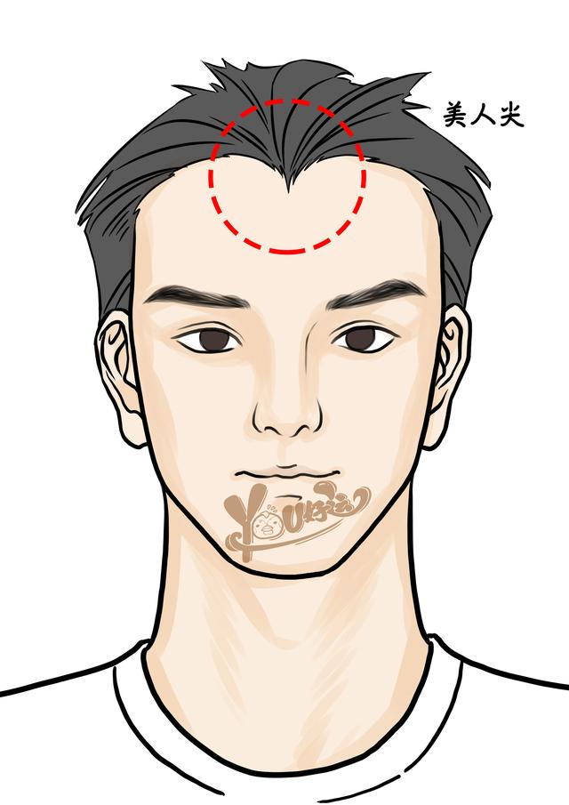 生有美人尖的人与父母关系淡薄,也代表青少年期间事故多,此外在性格上