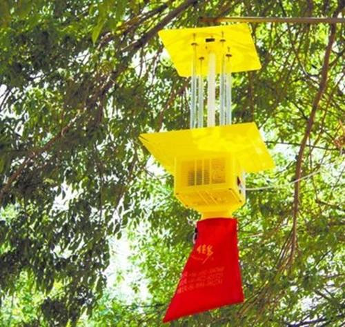 频振式杀虫灯防治棉铃虫与春尺蠖试验