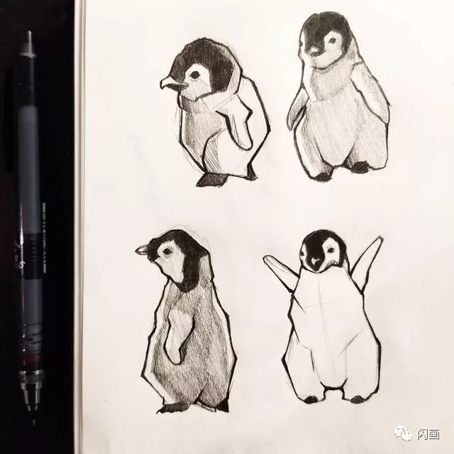 动物各种形态的手绘画稿