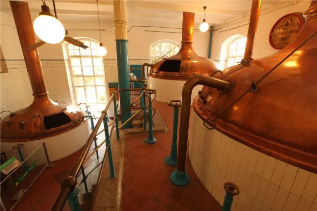 开启暖冬亲子研学之旅去青啤博物馆赏花