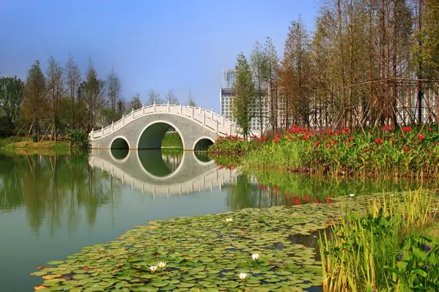 原创合肥竟然藏着一日穿越古今的神隐之地12小时不虚度指南就在这篇