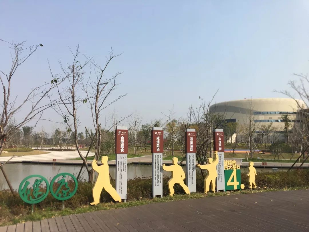 倡导健康生活建设健康观海卫