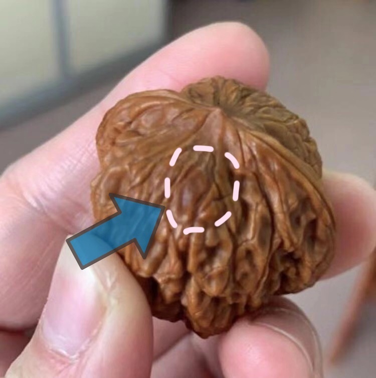 文玩核桃阴皮您了解么