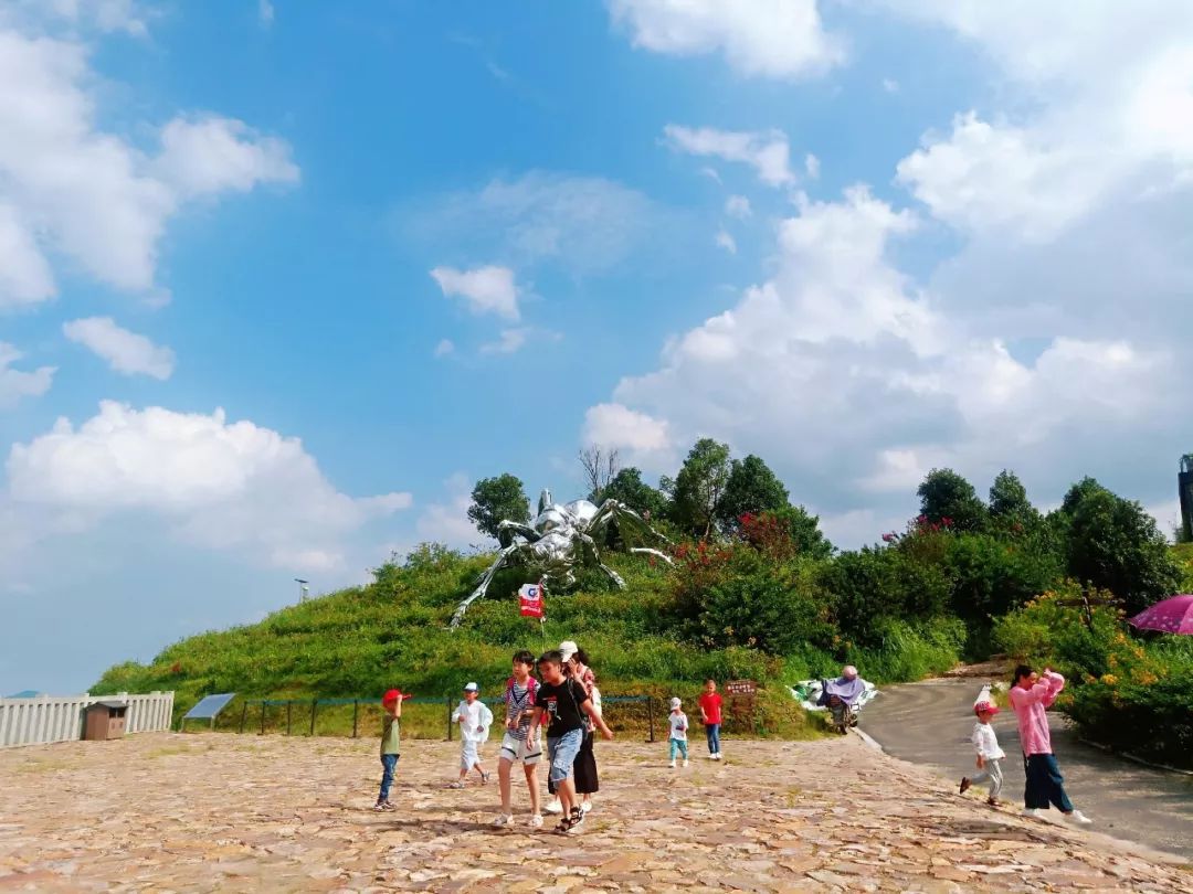 高峰谷景区送门票啦!