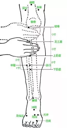 位置:屈膝,外膝眼窝下6寸,小腿胫骨横开一指(中指),两点相交为上巨虚