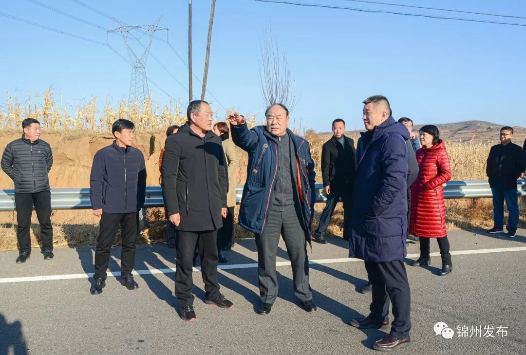 王德佳先后来到义县张家堡,瓦子峪,北镇市罗罗堡,闾阳等乡镇,实地了解