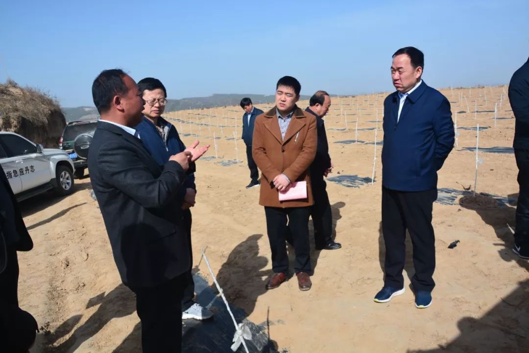 苏凯麒陪同志丹县李建强书记下乡考察苹果产业苏凯麒看望贫困户苏海荣