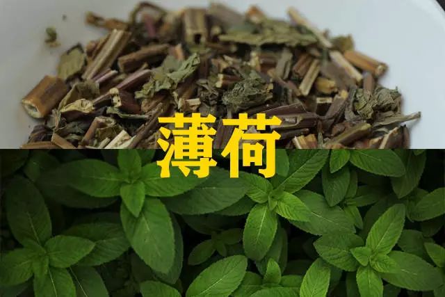 比如薄荷 藿香 佩兰如果药物中含有挥发油类物质后下进而再把其他药物