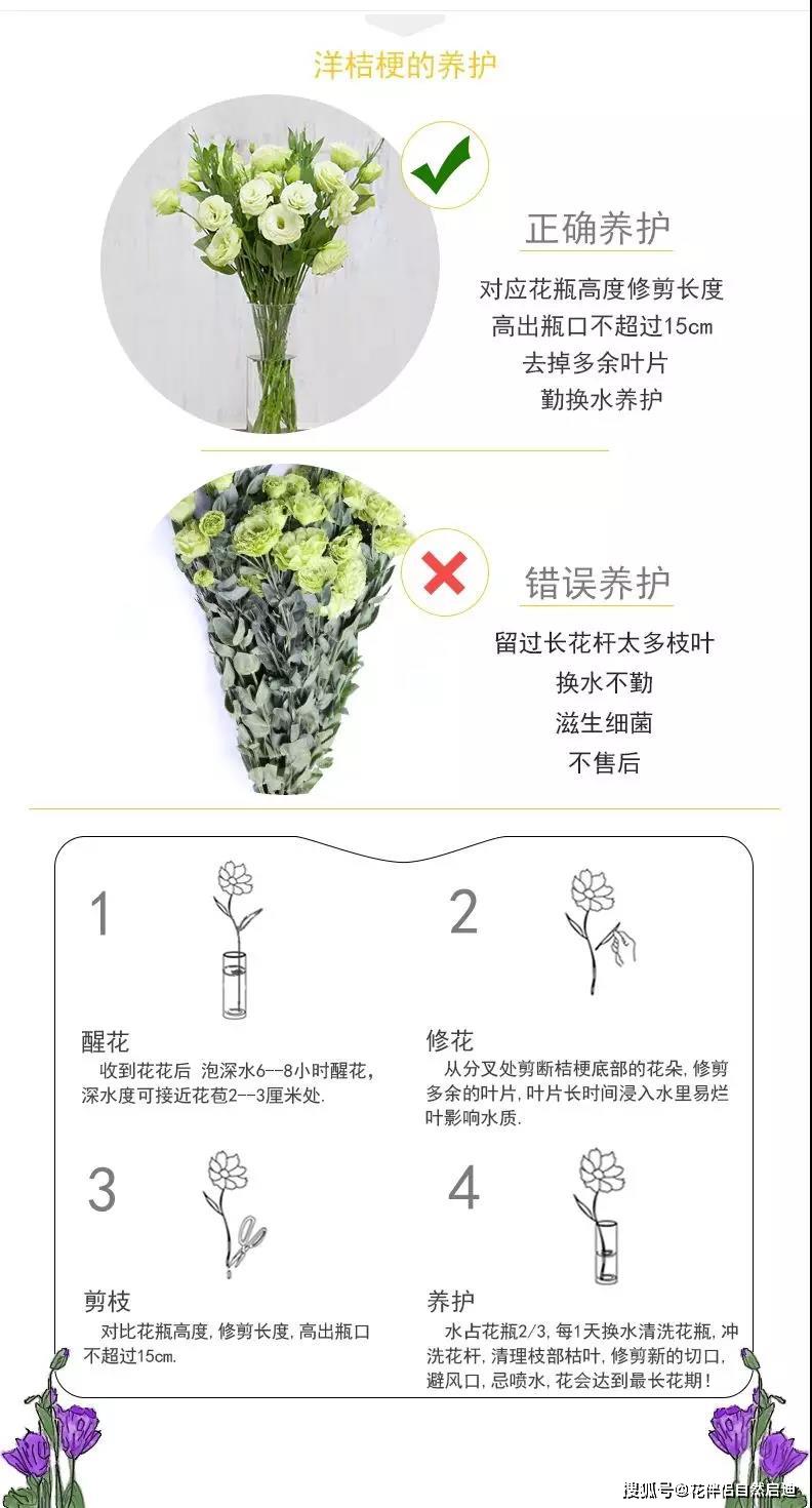 鲜花保鲜,我有秘诀!_养护