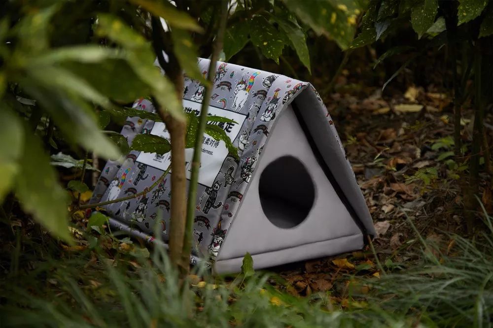 流浪猫窝申领通知这个冬天给它一点家的温暖