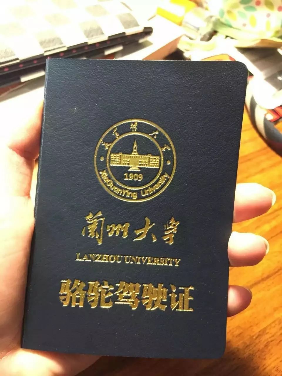 尊敬的辅导员我的家乡需要我望批准