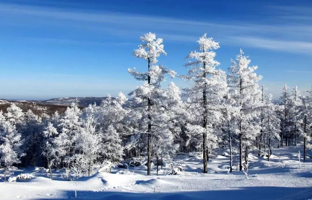 牙克石的国字号金名片"中国冰雪之都"