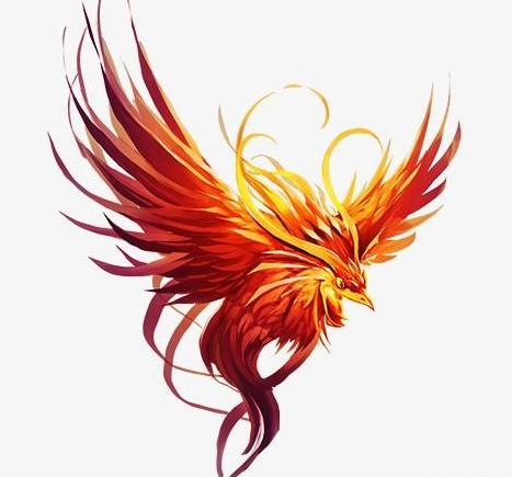 原创云南保山出现一种红鸟羽毛似血红得耀眼认为是朱雀化身