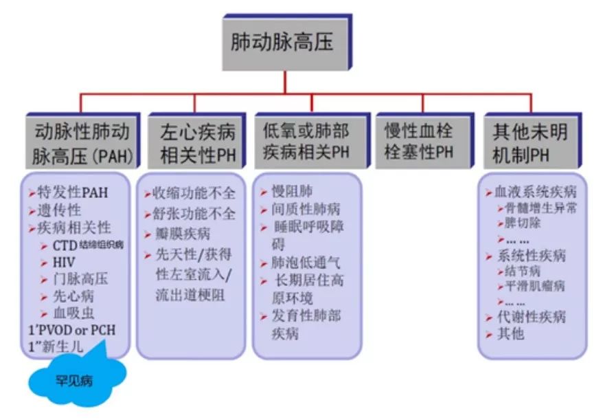 查出肺动脉高压严重吗能治吗