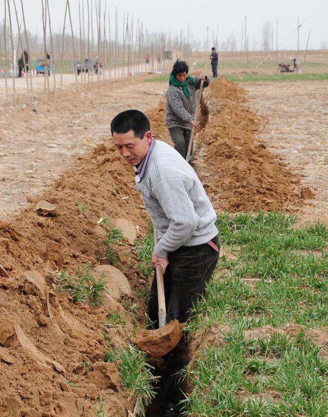 农民私自开荒耕地,如今能否确权登记?能否拿到补贴?